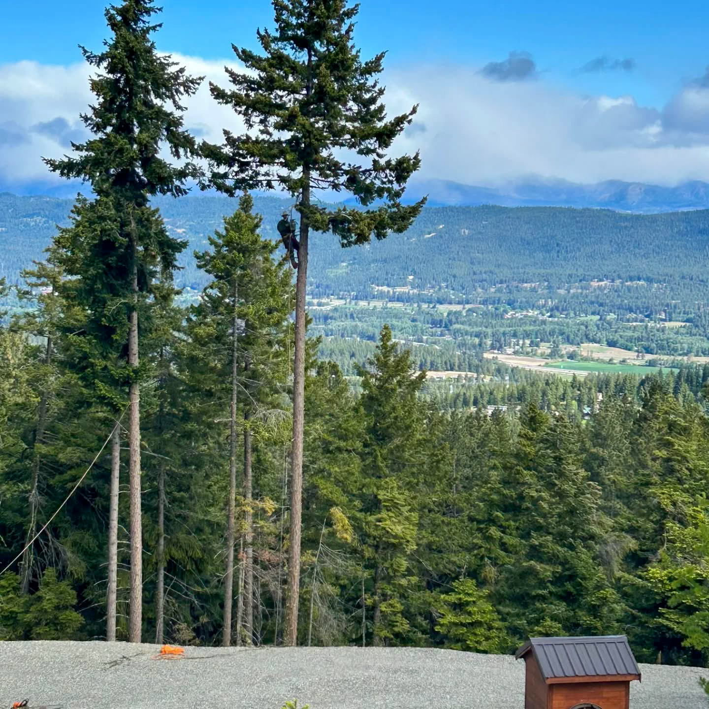 View Clearing — Rocky Peak Tree Service