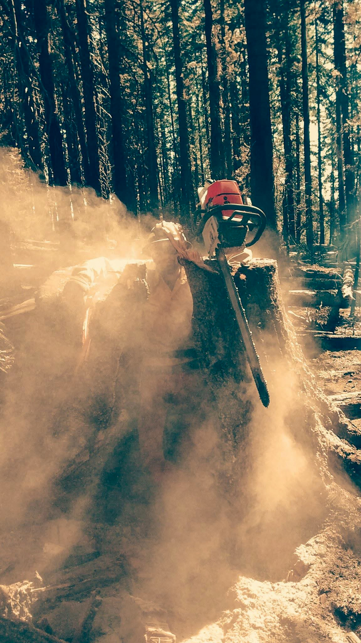 Cutting through heavy sawdust on a tree removal job