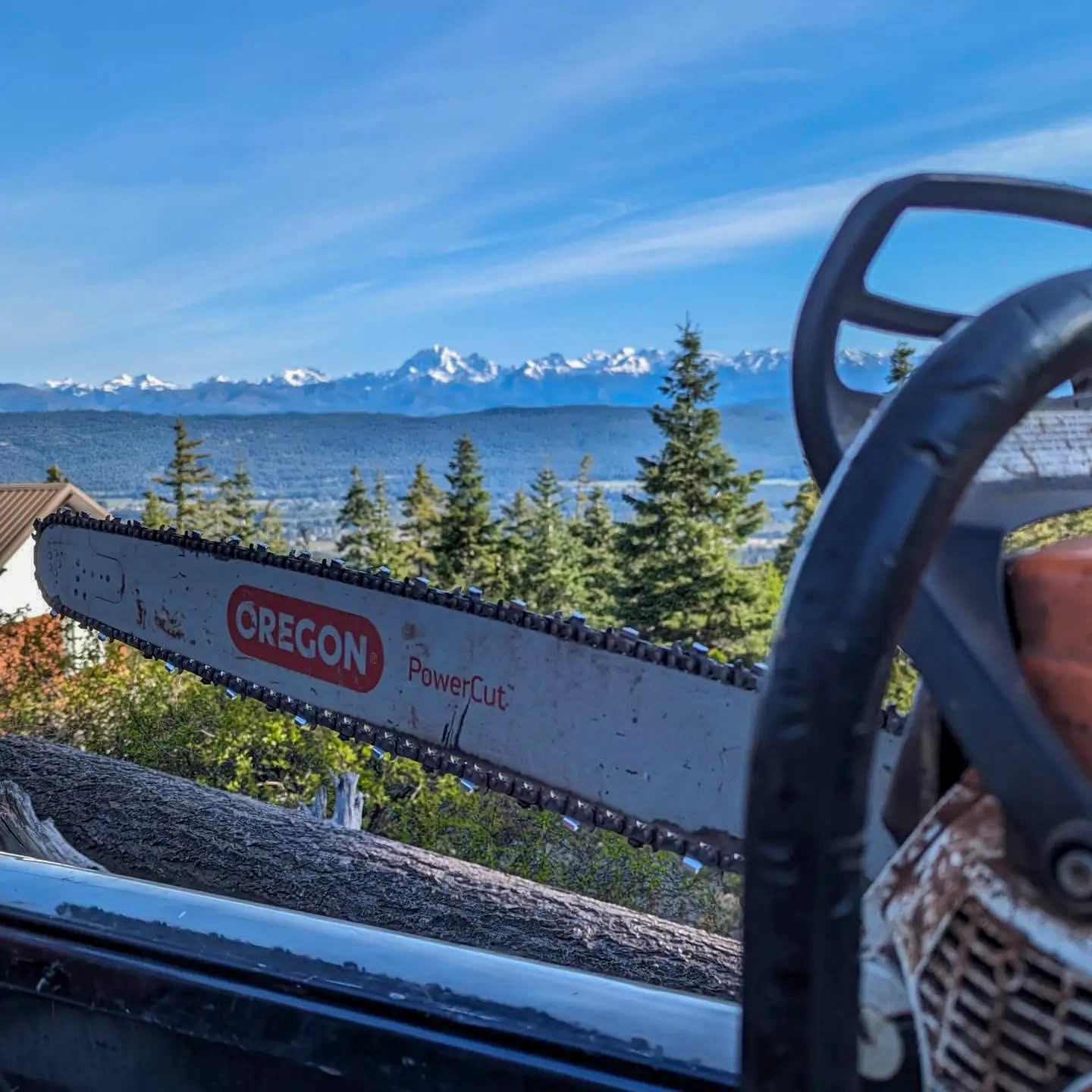 Chainsaw work with a mountain valley backdrop