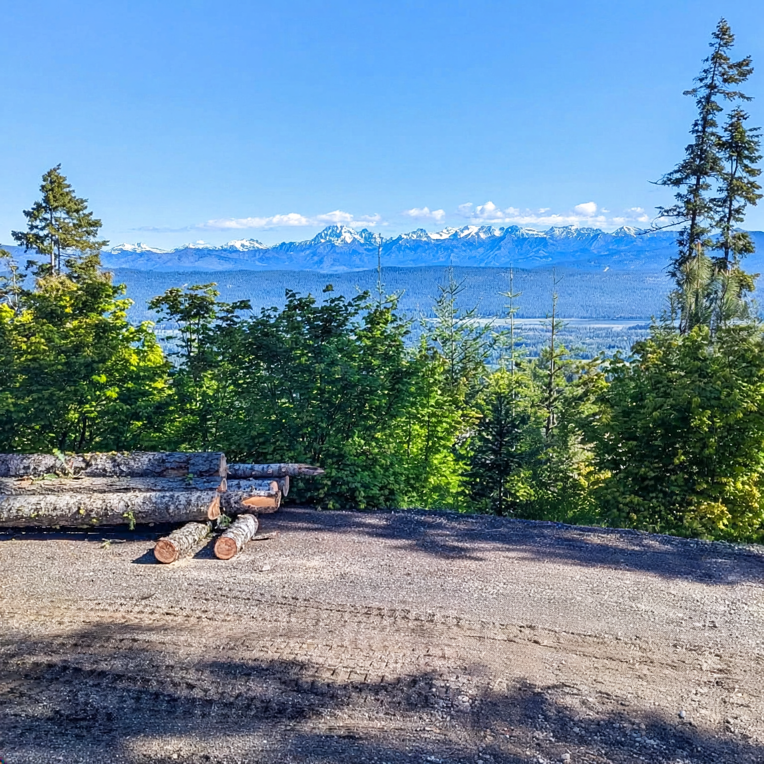 Mini excavator clearing cut log rounds, lake view job site